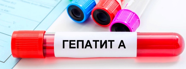 Вирусный гепатит А и его профилактика Вирусный гепатит А и его профилактика