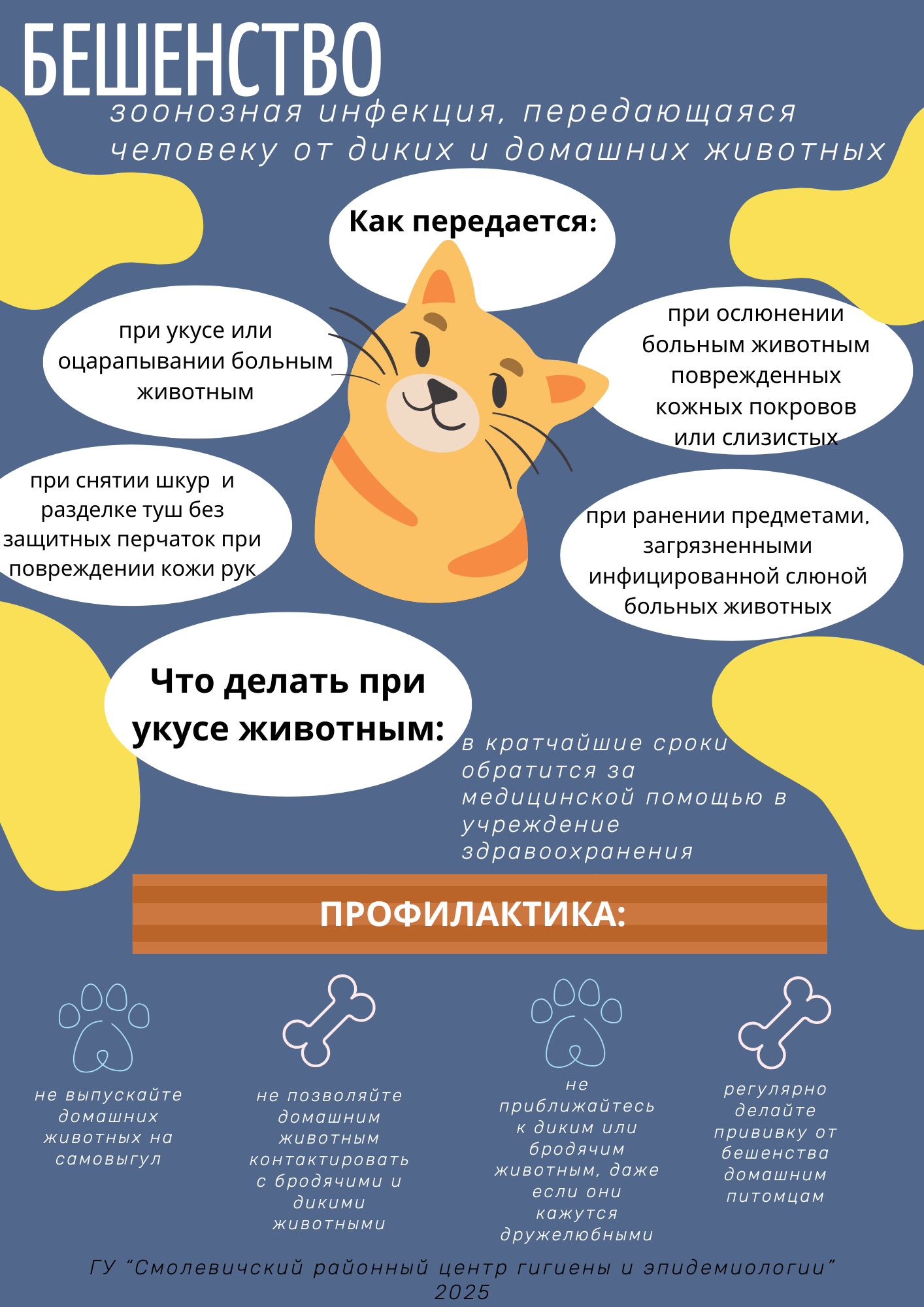 Бешенство Бешенство