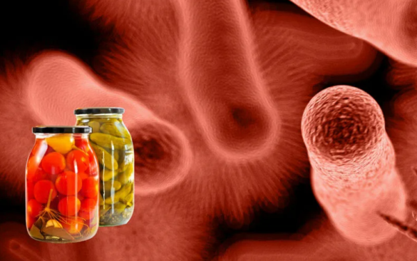 О профилактике ботулизма О профилактике ботулизма