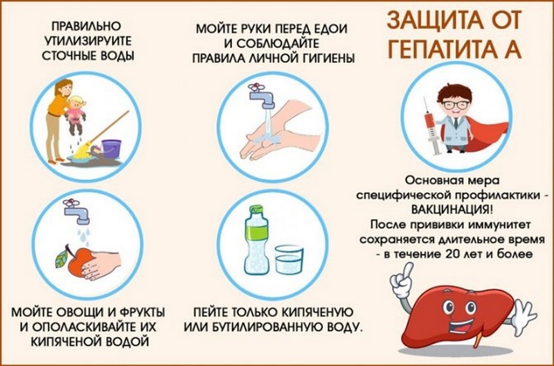 Профилактика вирусного гепатита А Профилактика вирусного гепатита А